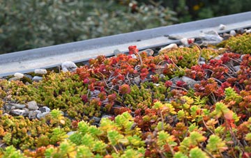 the cost of Mountsorrel green roof installation