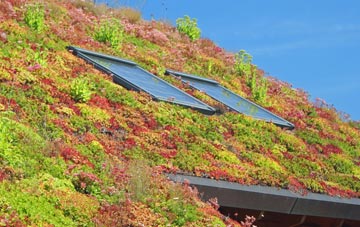 Mountsorrel living roof systems
